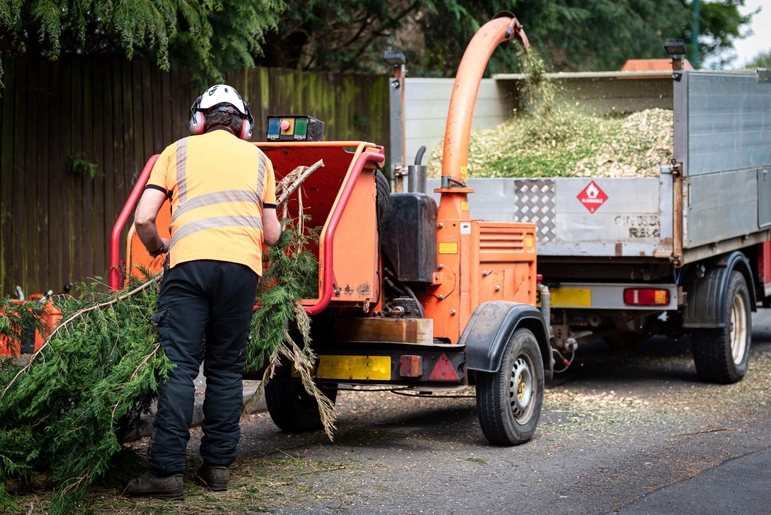 Tree Stump Grinding/Removal South Croydon CR2